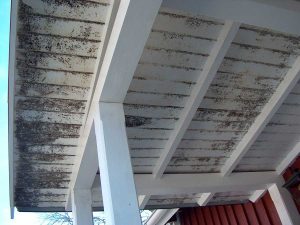 panel_mogel